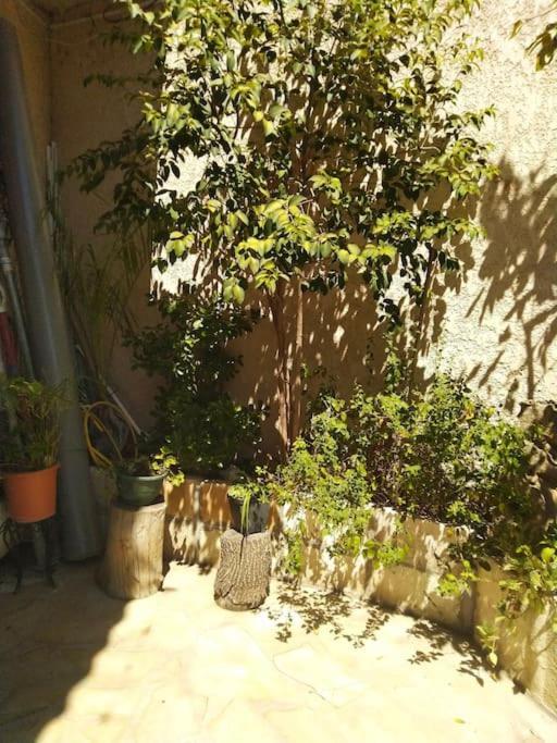 Studio Ideal Pour Deux Voyageurs Sur Marseille Bagian luar foto