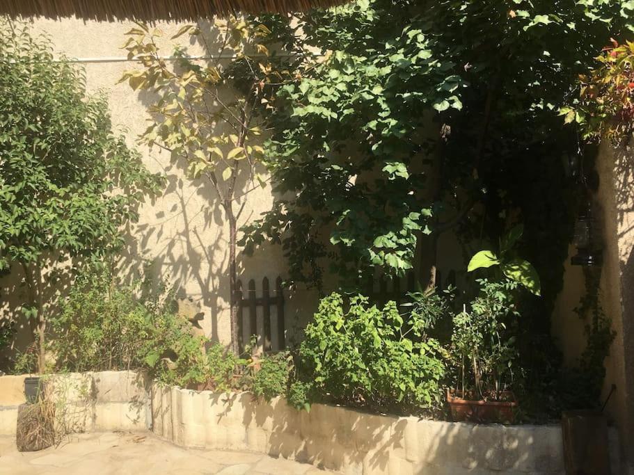 Studio Ideal Pour Deux Voyageurs Sur Marseille Bagian luar foto